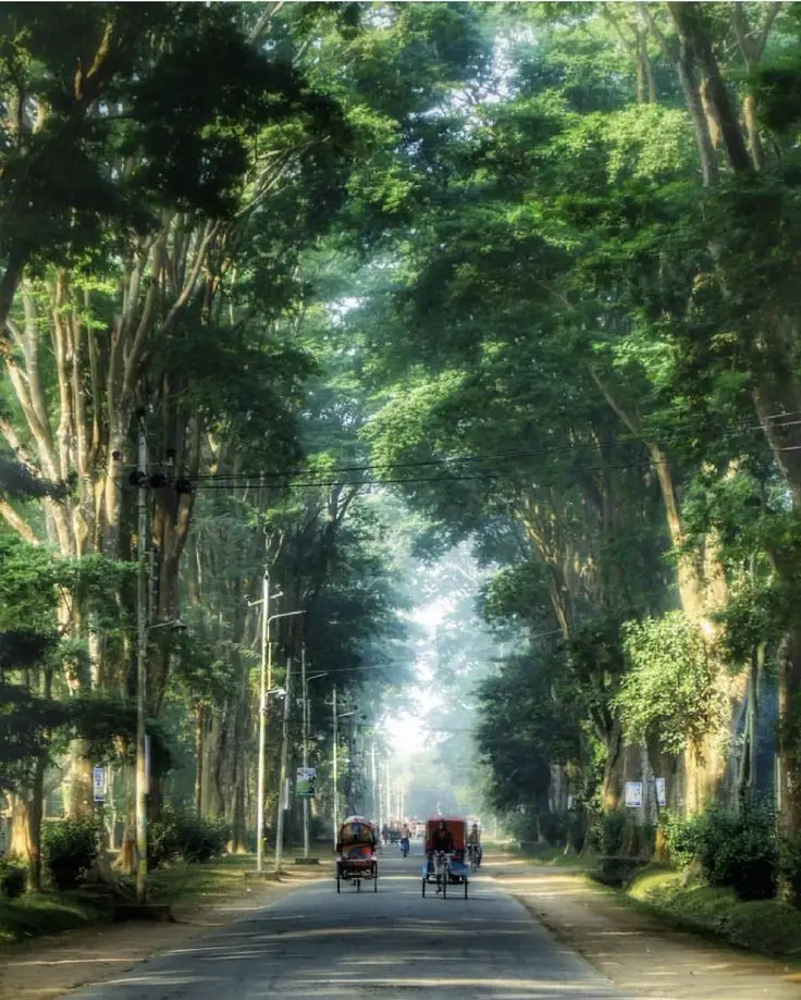 Paris Road, Rajshahi 